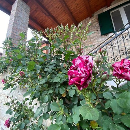 Villa Kortina Башания Экстерьер фото