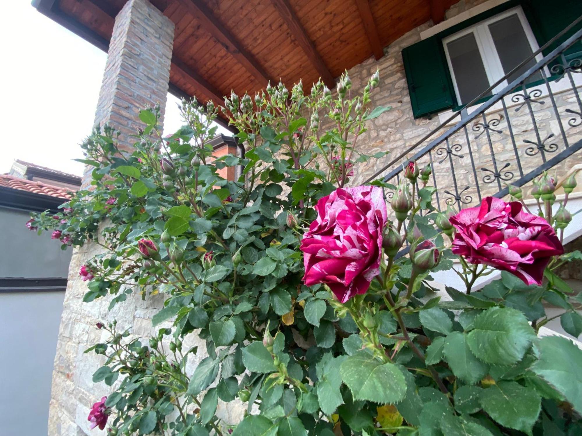 Villa Kortina Башания Экстерьер фото